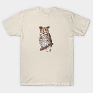 Owl T-Shirt